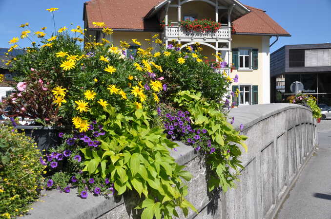 Marktgemeinde Nenzing
